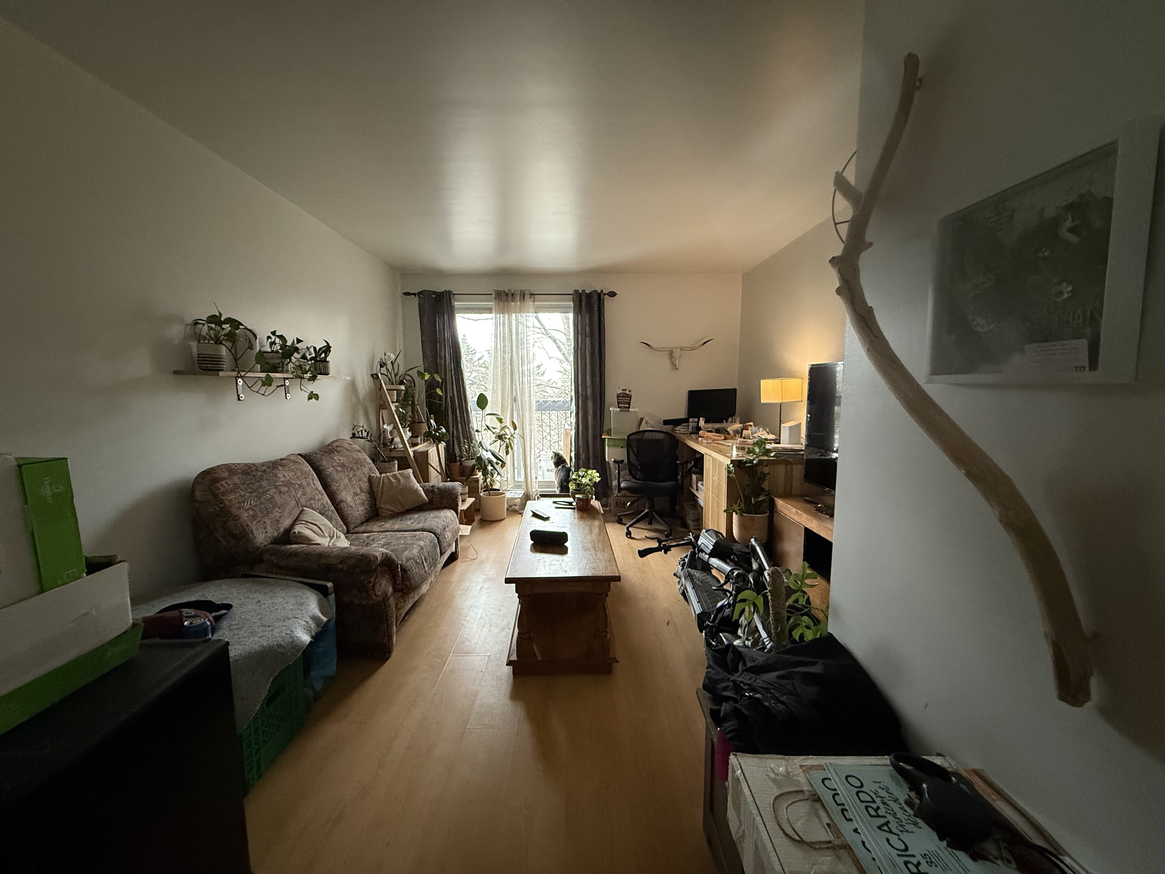 Logis-Experts - Appartements - 3128 Boulevard Neilson - 304 - 1