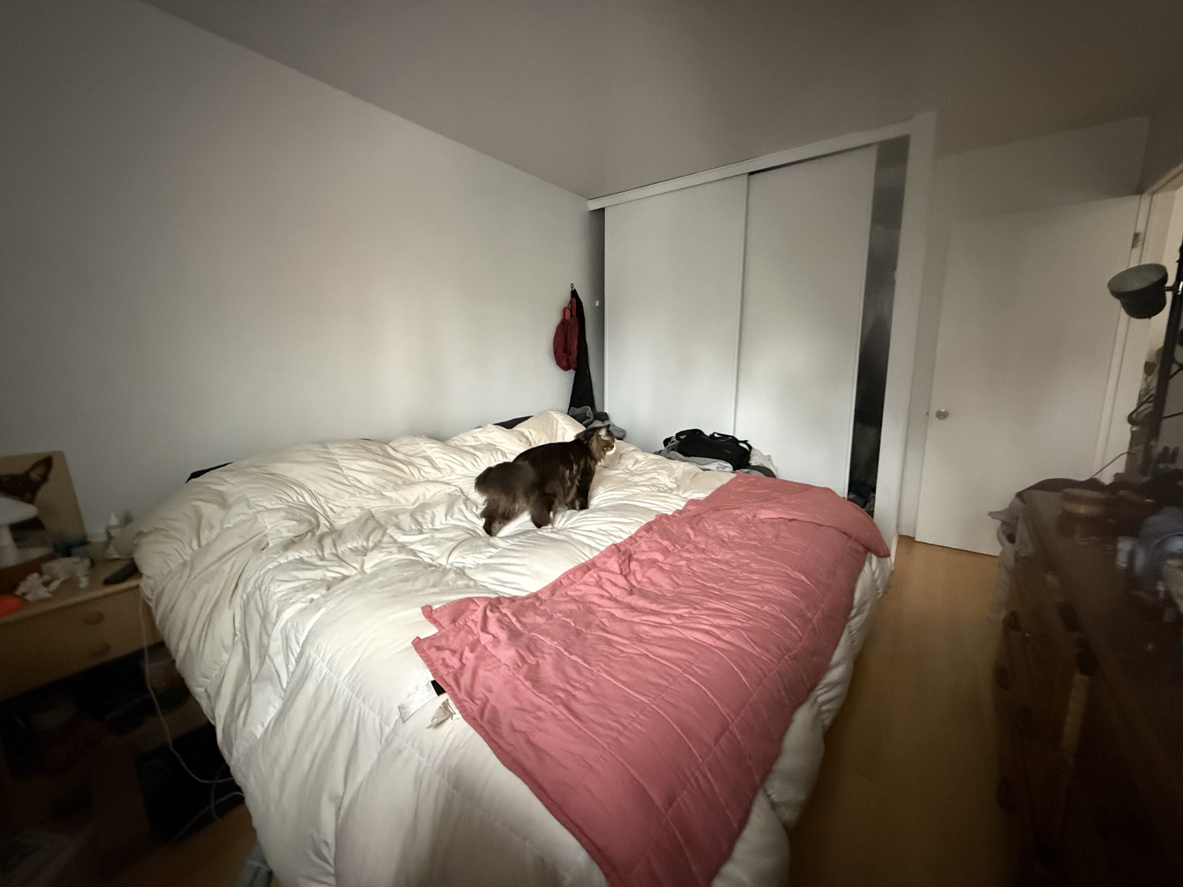 Logis-Experts - Appartements - 3128 Boulevard Neilson - 304 - 7