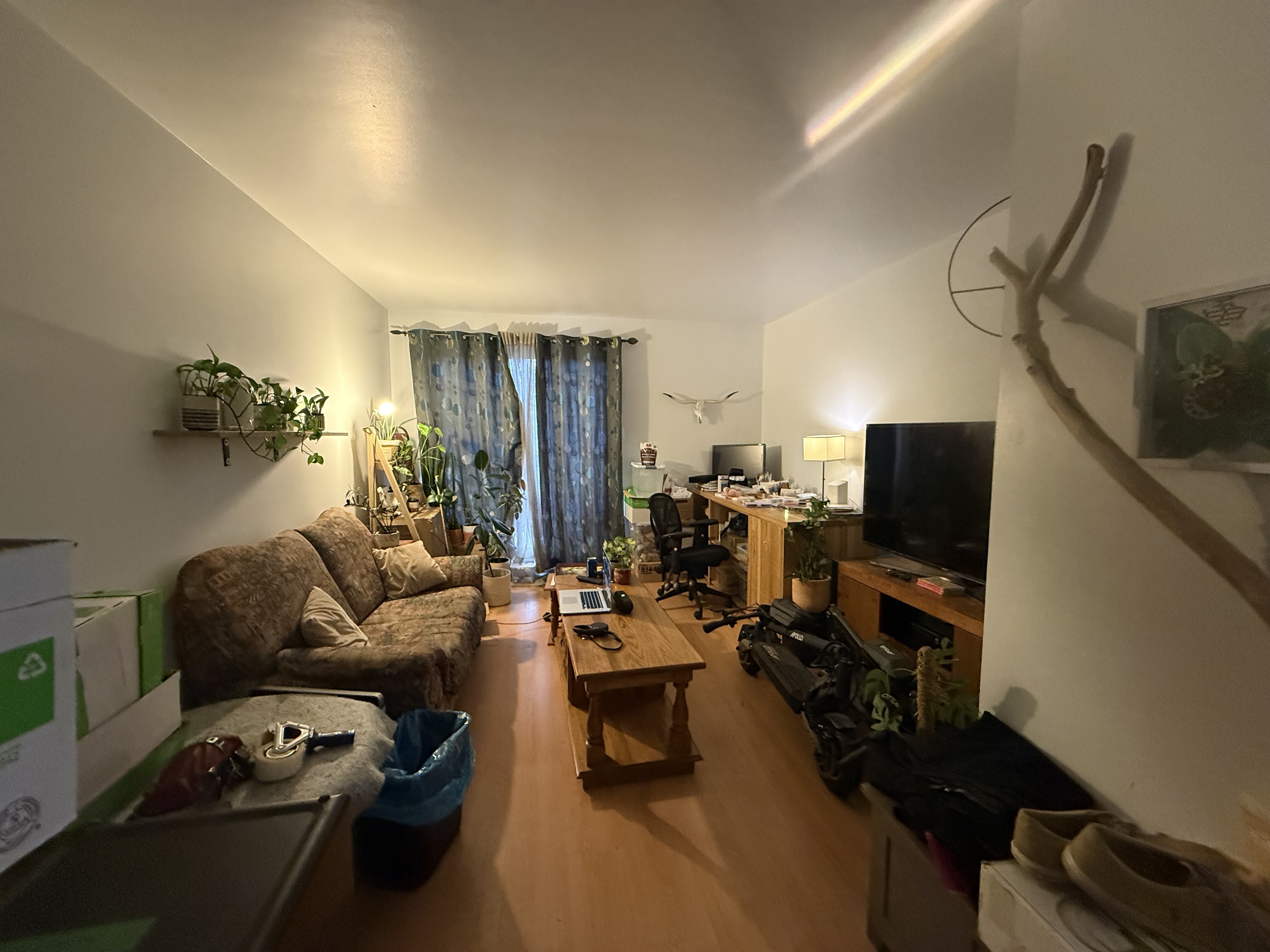 Logis-Experts - Appartements - 3128 Boulevard Neilson - 304 - 10