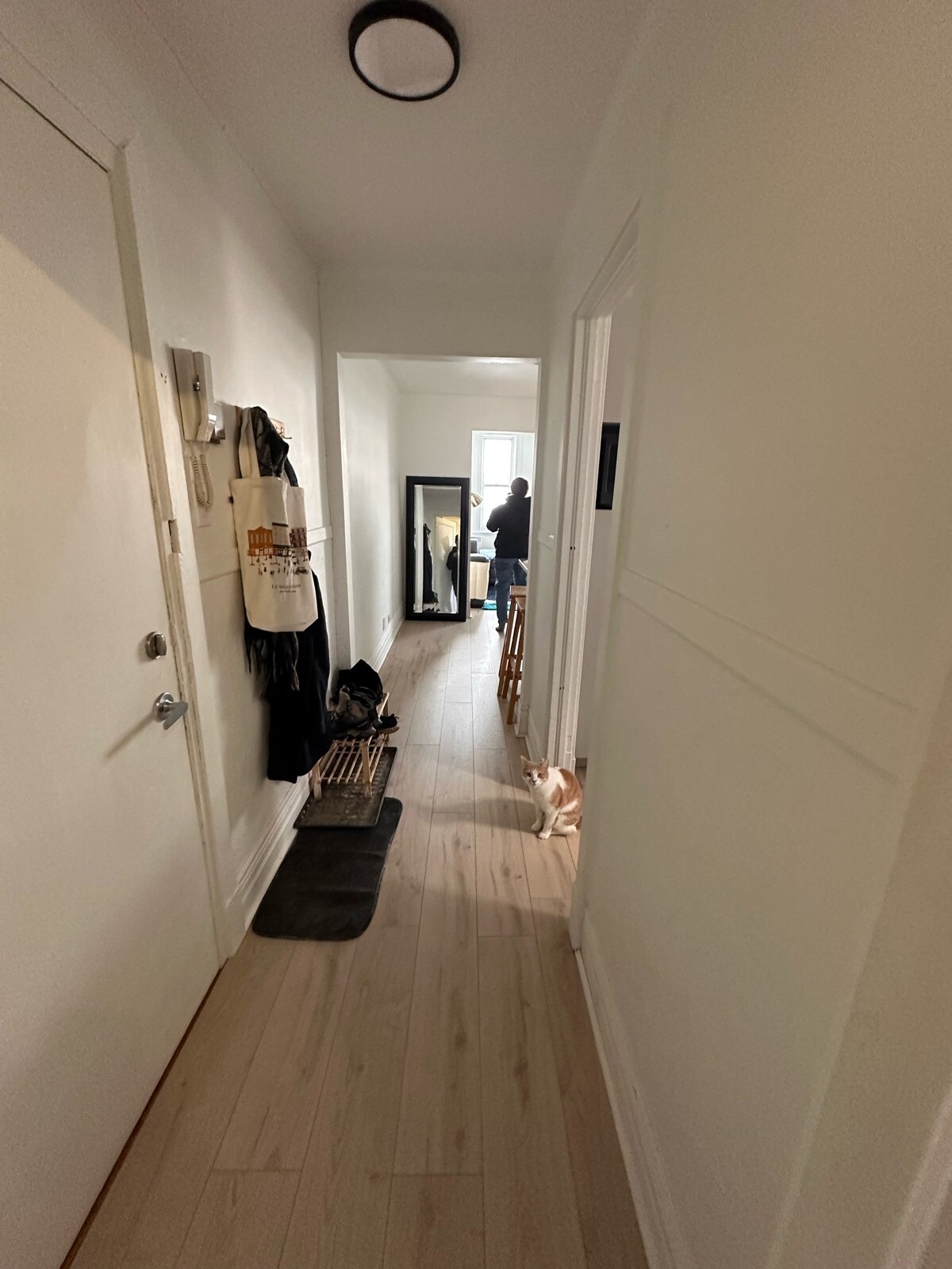 Logis-Experts - Appartements - 491 À 497 3E Avenue 296 À 298 5E Rue - 298-11 - 7