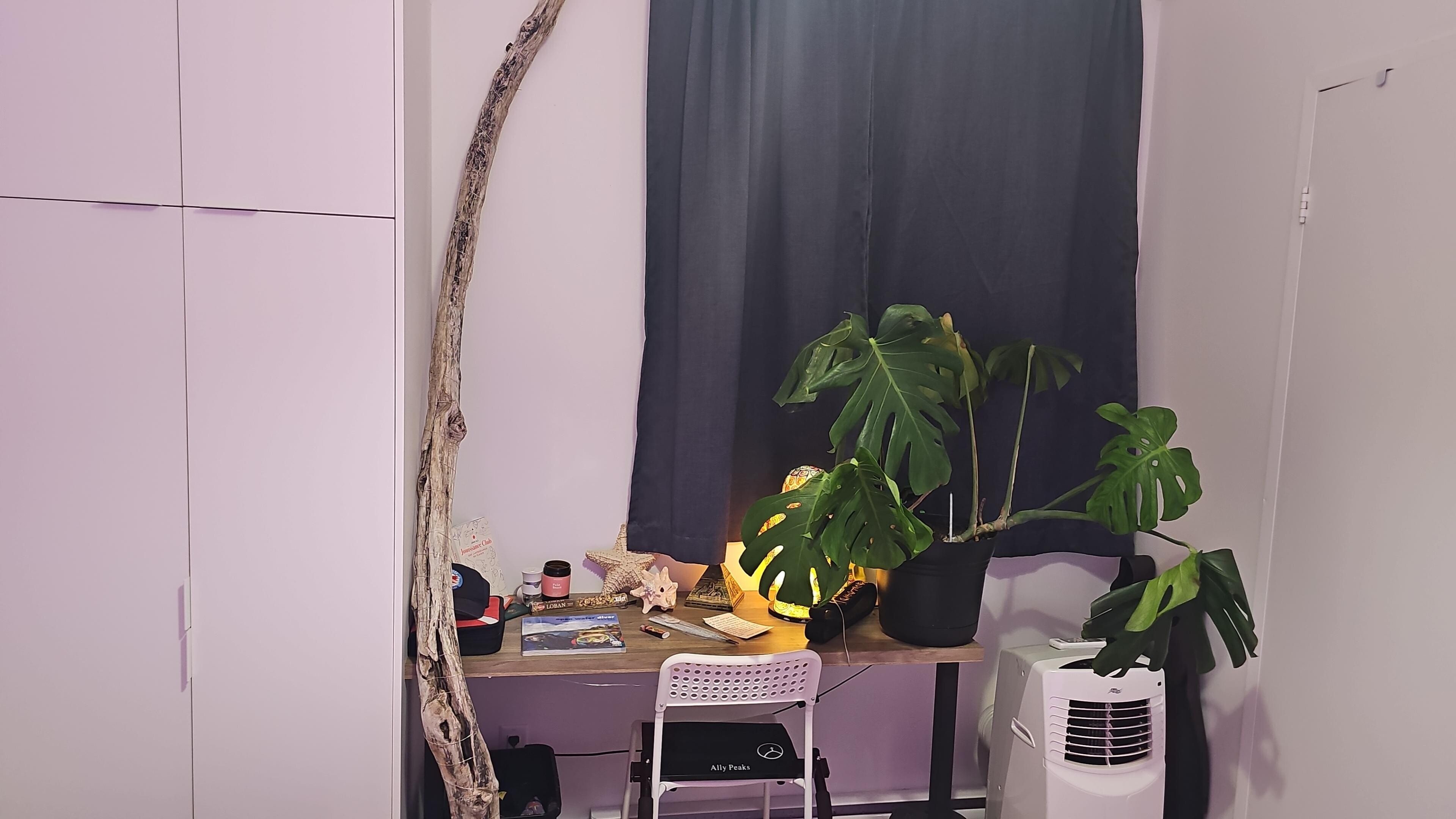 Logis-Experts - Appartements - 6212 Rue Fraser - Le Moderniste - 217 - 2