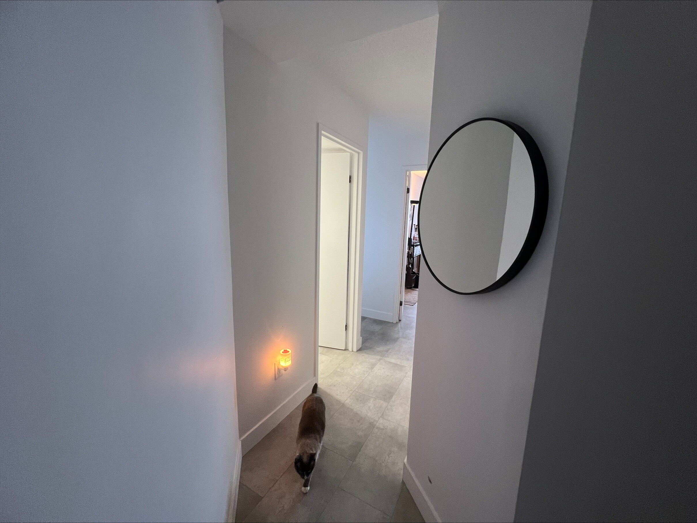 Logis-Experts - Appartements - 361 Rue Gingras - Le Mojo - 542 - 3