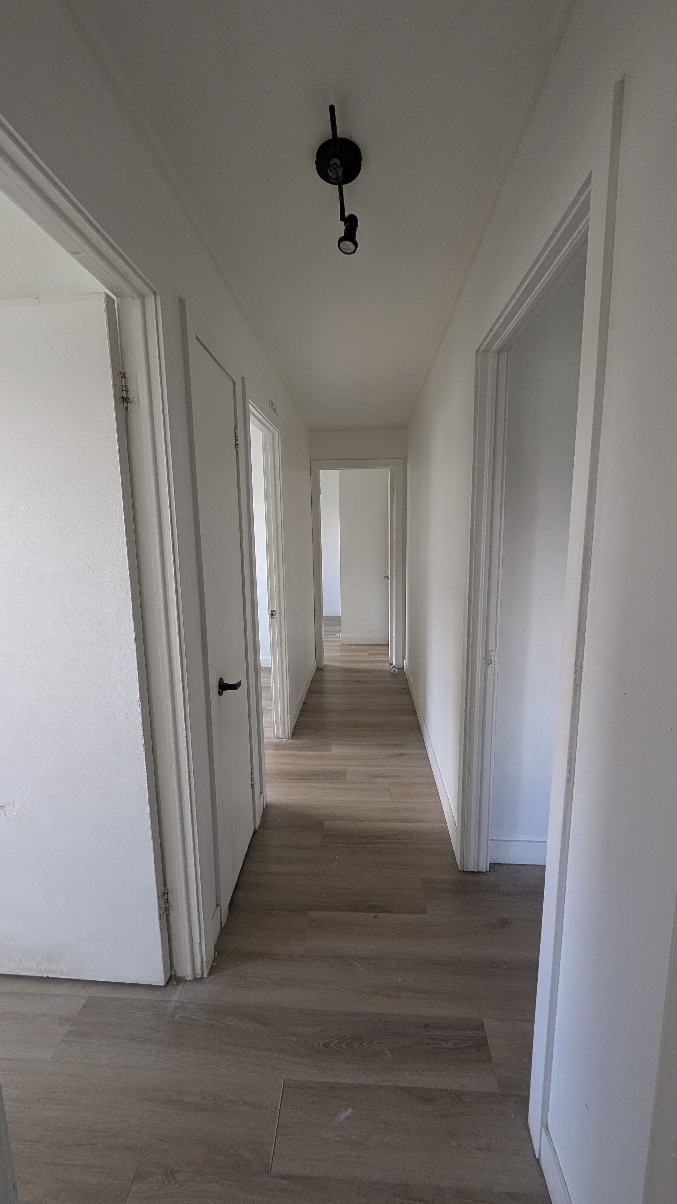 Logis-Experts - Appartements - 5380 Rue Bossuet - Place Du Chateau - 1 - 7